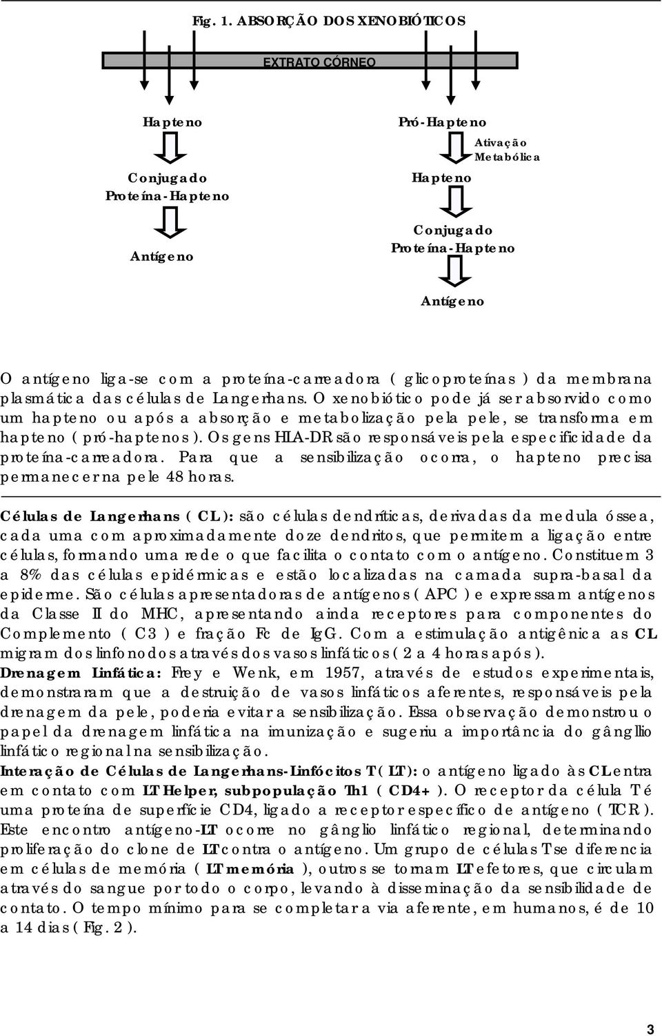 proteína-carreadora ( glicoproteínas ) da membrana plasmática das células de Langerhans.