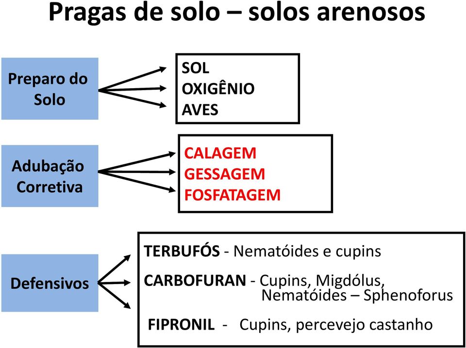 Defensivos TERBUFÓS-Nematóidese cupins CARBOFURAN- Cupins,