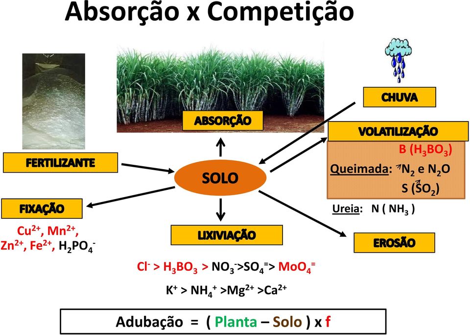 4+ >Mg 2+ >Ca 2+ Adubação = ( Planta Solo ) x f B (H 3