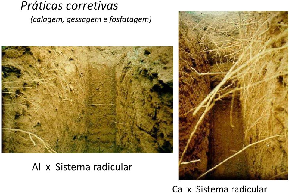 fosfatagem) Al x Sistema