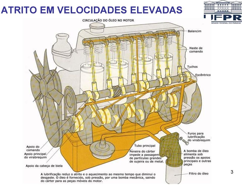 ELEVADAS