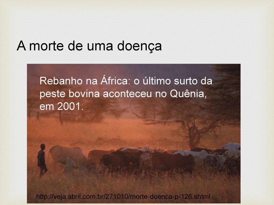 aconteceu no Quênia, em 2001.