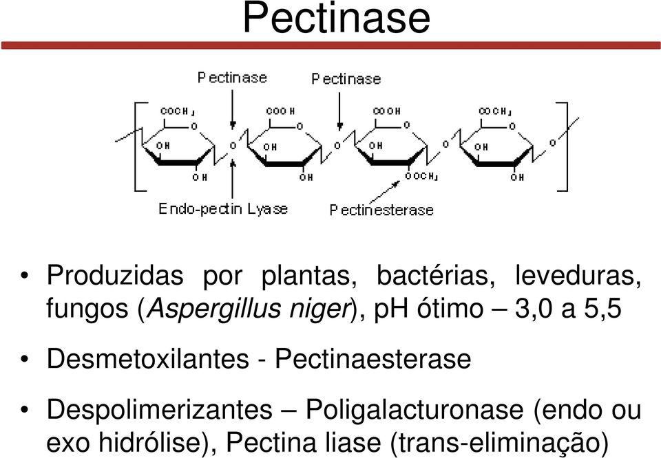 Desmetoxilantes - Pectinaesterase Despolimerizantes