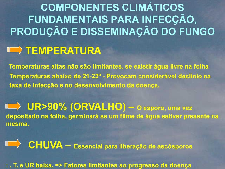 e no desenvolvimento da doença.