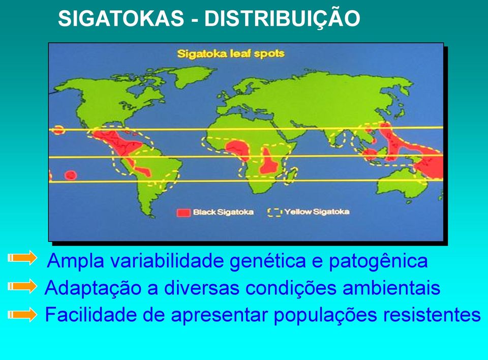 Adaptação a diversas condições