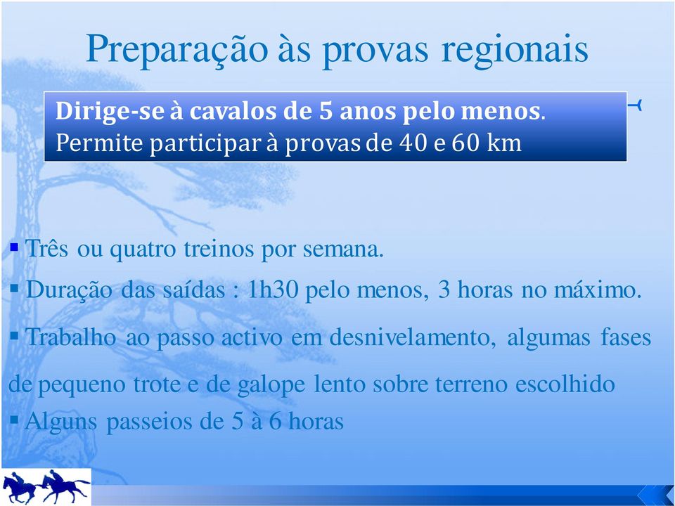 Duração das saídas : 1h30 pelo menos, 3 horas no máximo.