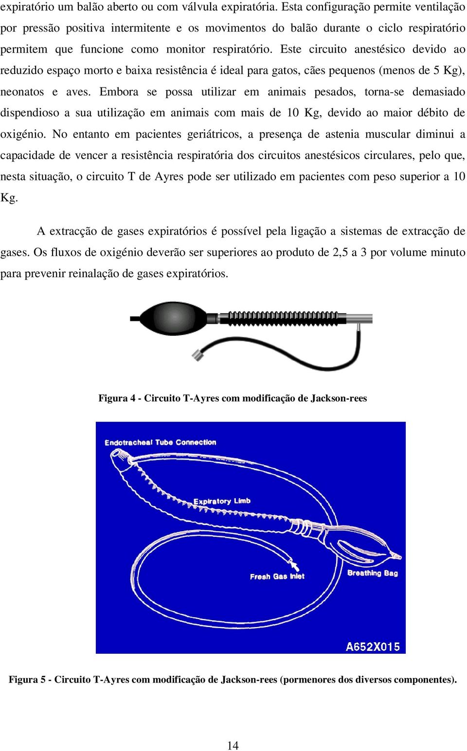 Este circuito anestésico devido ao reduzido espaço morto e baixa resistência é ideal para gatos, cães pequenos (menos de 5 Kg), neonatos e aves.