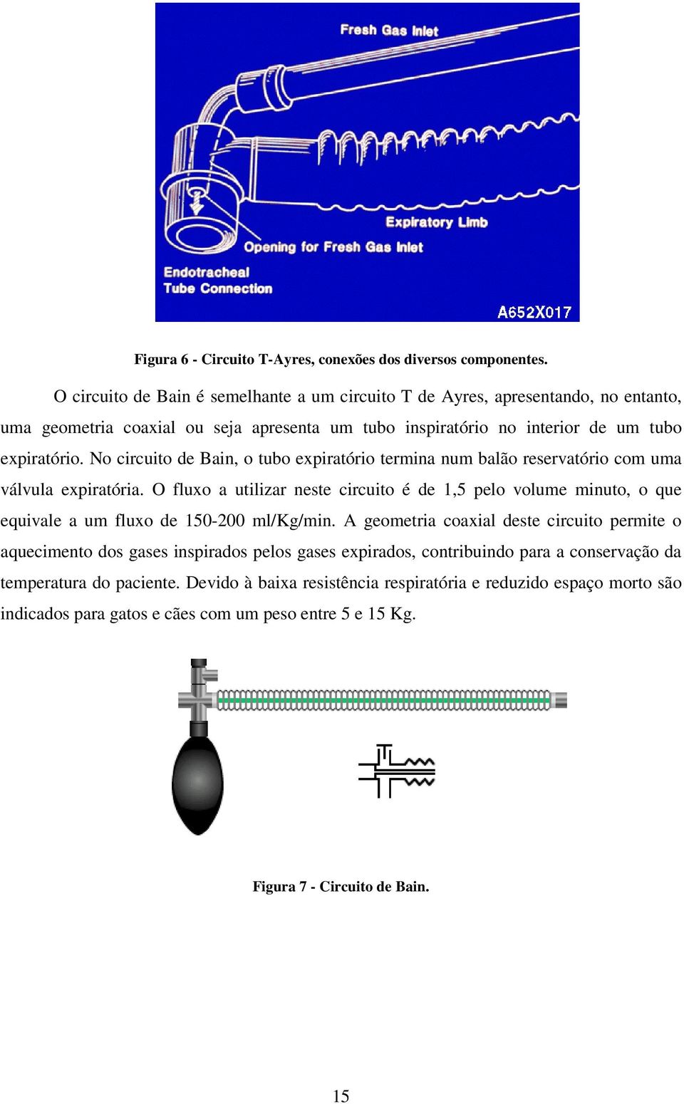 No circuito de Bain, o tubo expiratório termina num balão reservatório com uma válvula expiratória.