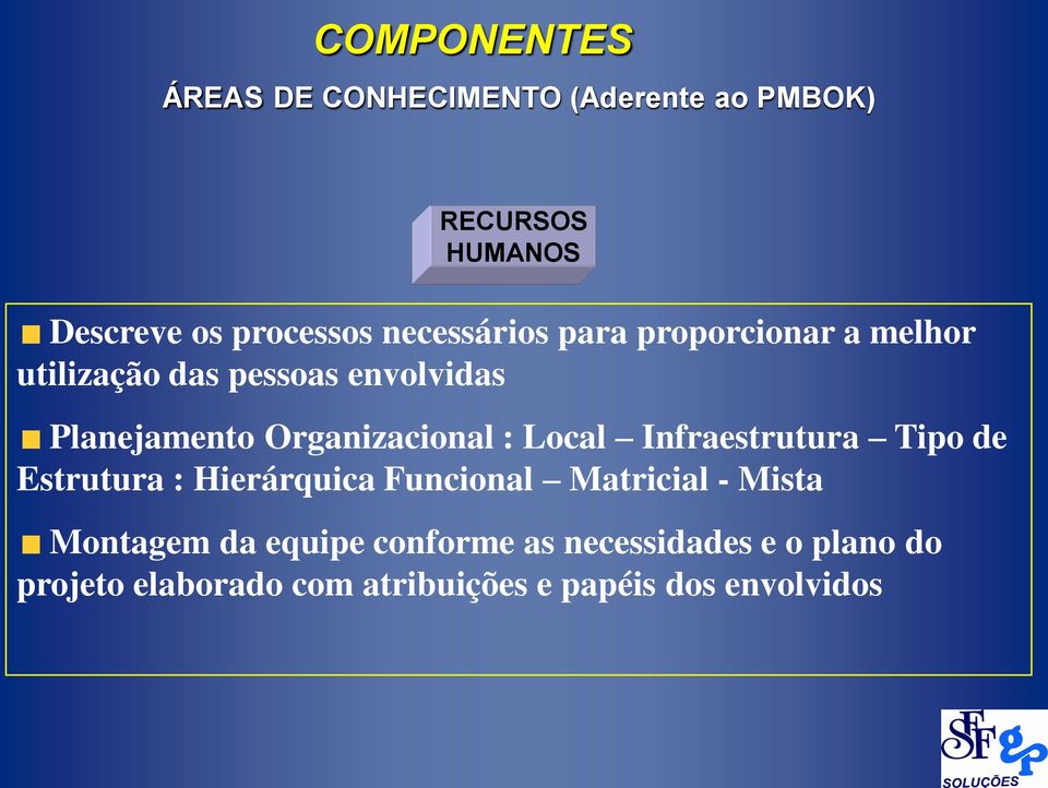 Organizacional : Local Infraestrutura Tipo de Estrutura : Hierárquica Funcional Matricial - Mista