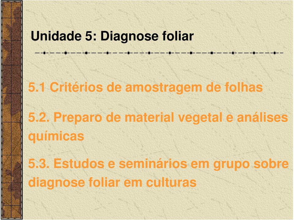 Preparo de material vegetal e análises