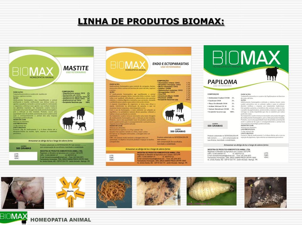 BIOMAX: