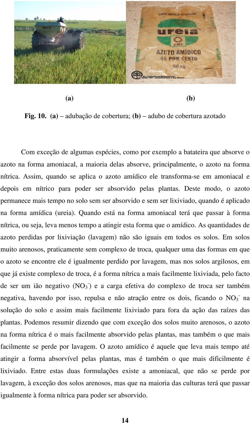 principalmente, o azoto na forma nítrica. Assim, quando se aplica o azoto amídico ele transforma-se em amoniacal e depois em nítrico para poder ser absorvido pelas plantas.