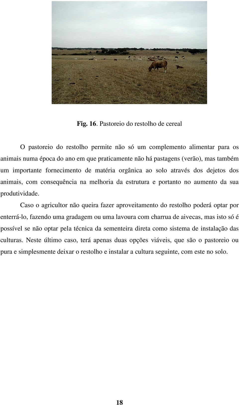 importante fornecimento de matéria orgânica ao solo através dos dejetos dos animais, com consequência na melhoria da estrutura e portanto no aumento da sua produtividade.