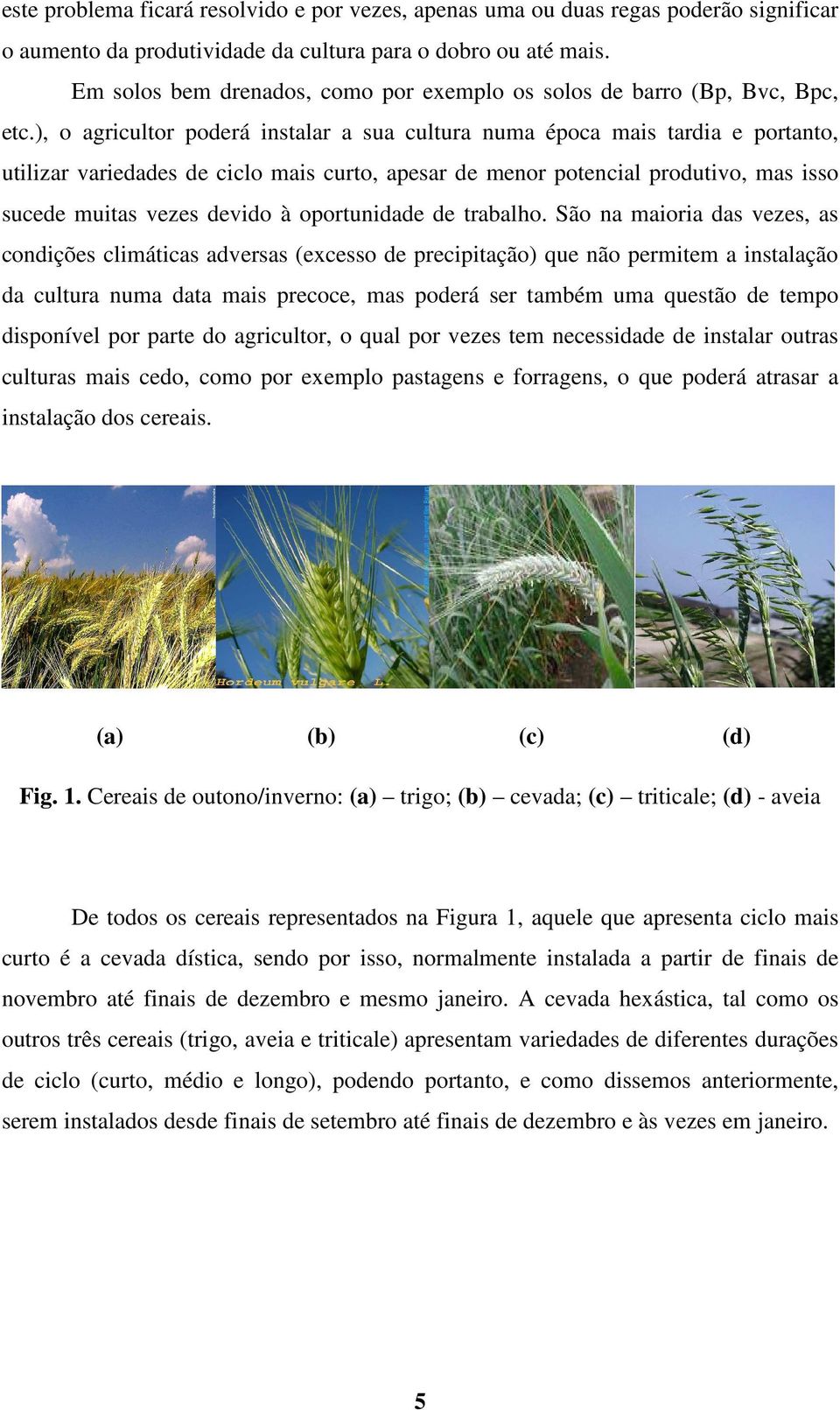 ), o agricultor poderá instalar a sua cultura numa época mais tardia e portanto, utilizar variedades de ciclo mais curto, apesar de menor potencial produtivo, mas isso sucede muitas vezes devido à