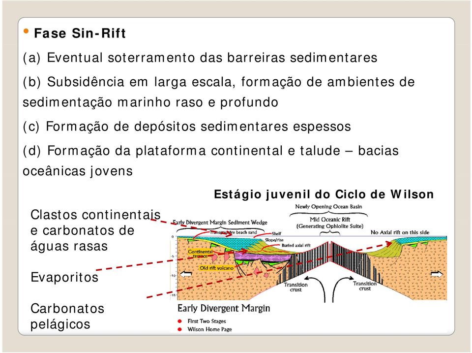 sedimentares espessos (d) Formação da plataforma continental e talude bacias oceânicas jovens