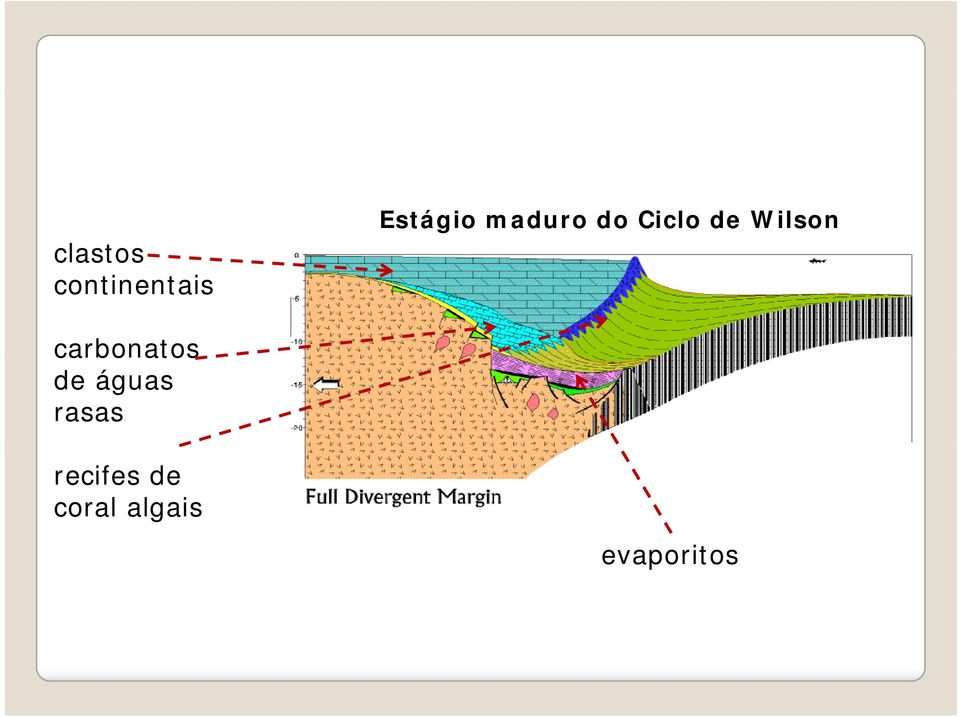 carbonatos de águas rasas