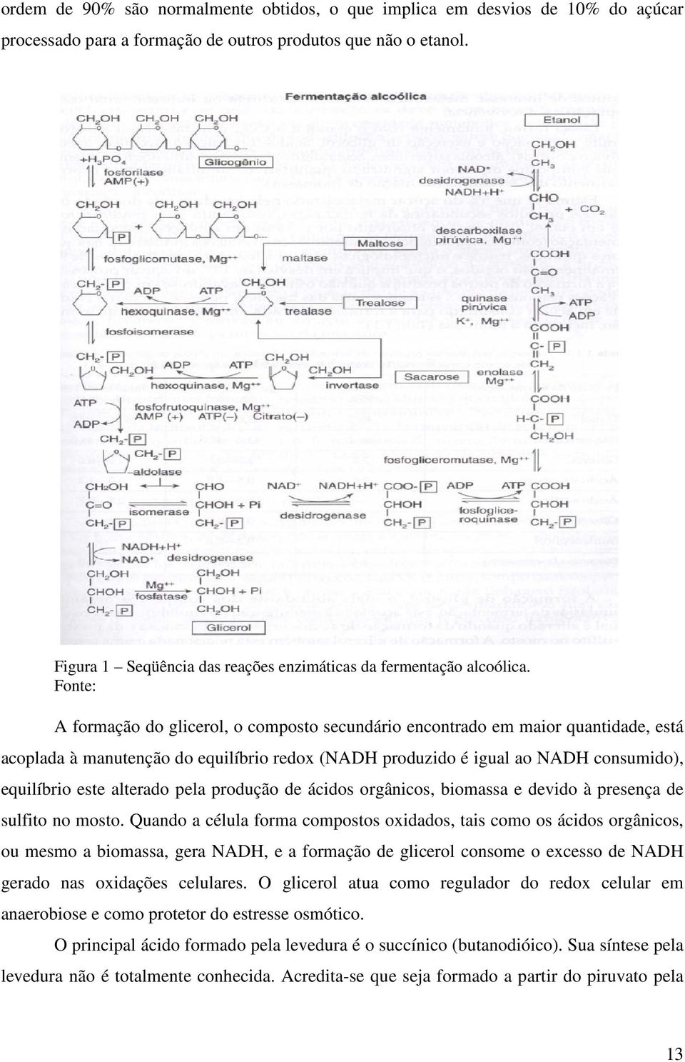 Fonte: A formação do glicerol, o composto secundário encontrado em maior quantidade, está acoplada à manutenção do equilíbrio redox (NADH produzido é igual ao NADH consumido), equilíbrio este