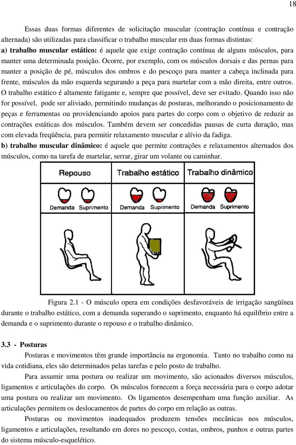 Ocorre, por exemplo, com os músculos dorsais e das pernas para manter a posição de pé, músculos dos ombros e do pescoço para manter a cabeça inclinada para frente, músculos da mão esquerda segurando