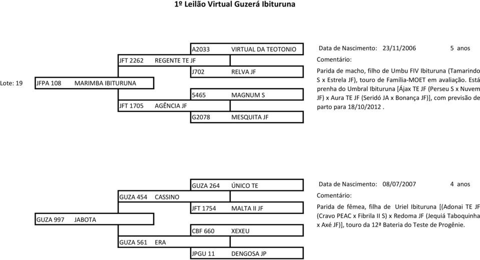 Está prenha do Umbral Ibituruna [Ájax TE JF (Perseu S x Nuvem JF) x Aura TE JF (Seridó JA x Bonança JF)], com previsão de parto para 18/10/2012.