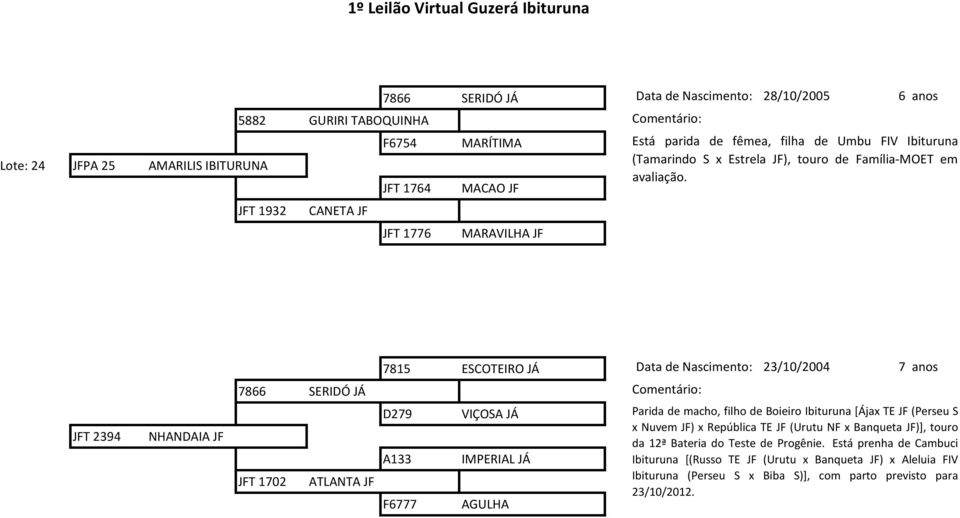 JFT 2394 NHANDAIA JF 7815 ESCOTEIRO JÁ Data de Nascimento: 23/10/2004 7 anos 7866 SERIDÓ JÁ Comentário: JFT 1702 ATLANTA JF D279 A133 F6777 VIÇOSA JÁ IMPERIAL JÁ AGULHA Parida de macho, filho de