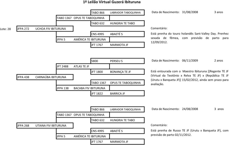 5800 PERSEU S Data de Nascimento: 06/11/2009 2 anos JFT 2488 ATLAS TE JF JFPA 438 CARNAÚBA IBITURUNA JFPA 138 JFT 1800 TABO 1367 BACABA FIV IBITURUNA BONANÇA TE JF OPUS TE TABOQUINHA Está entourada