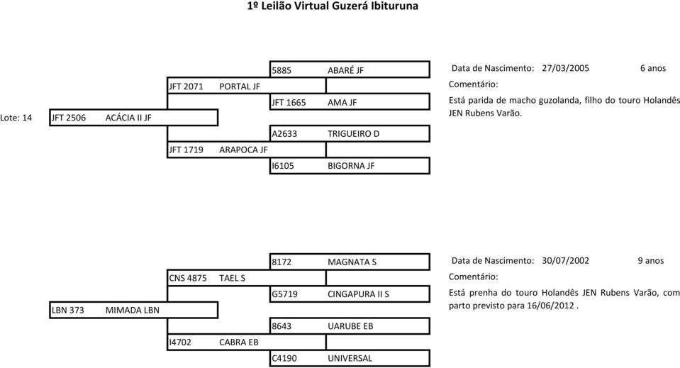A2633 TRIGUEIRO D JFT 1719 ARAPOCA JF I6105 BIGORNA JF LBN 373 MIMADA LBN 8172 MAGNATA S Data de Nascimento: 30/07/2002 9 anos