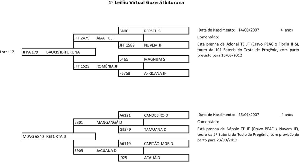 AFRICANA JF MDVG 6840 RETORTA D A6121 CANDEEIRO D Data de Nascimento: 25/06/2007 4 anos 6301 MANGANGÁ D Comentário: G9549 A6119 TAMUANA D CAPITÃO-MOR D Está