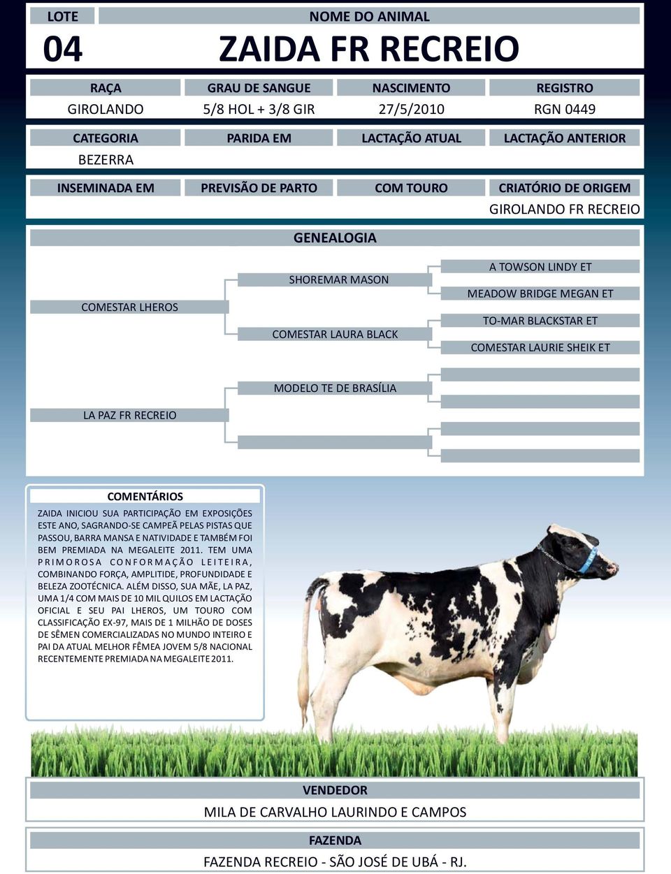 NATIVIDADE E TAMBÉM FOI BEM PREMIADA NA MEGALEITE 2011. TEM UMA PRIMOROSA CONFORMAÇÃO LEITEIRA, COMBINANDO FORÇA, AMPLITIDE, PROFUNDIDADE E BELEZA ZOOTÉCNICA.