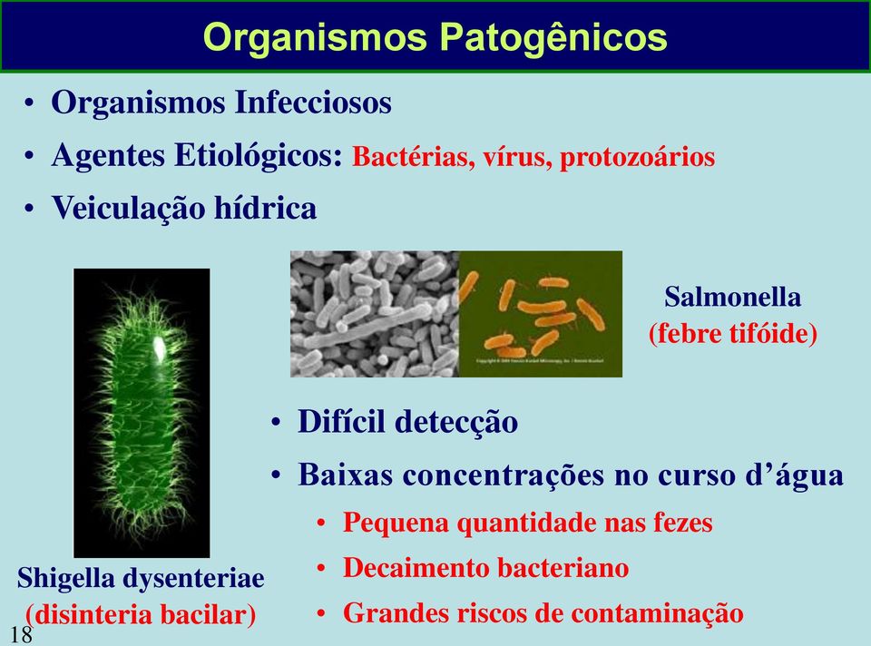 dysenteriae (disinteria bacilar) 18 Difícil detecção Baixas concentrações no