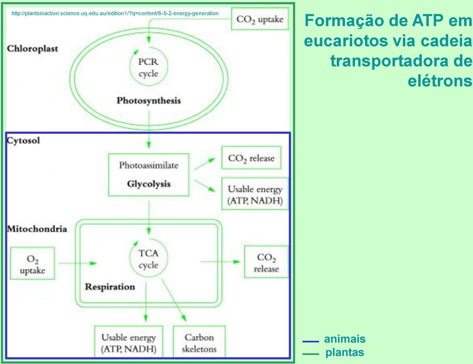 q=content/6-5-2-energy-generation