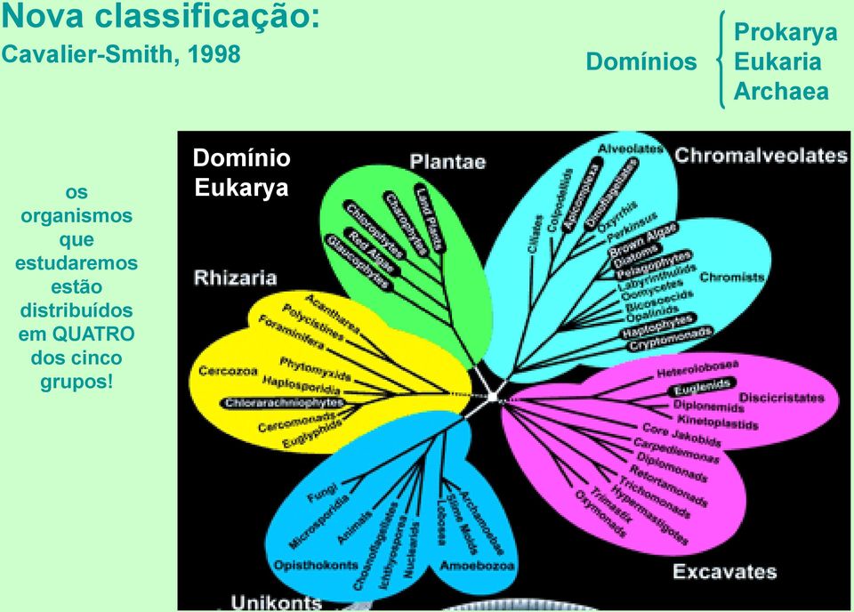 organismos que estudaremos estão