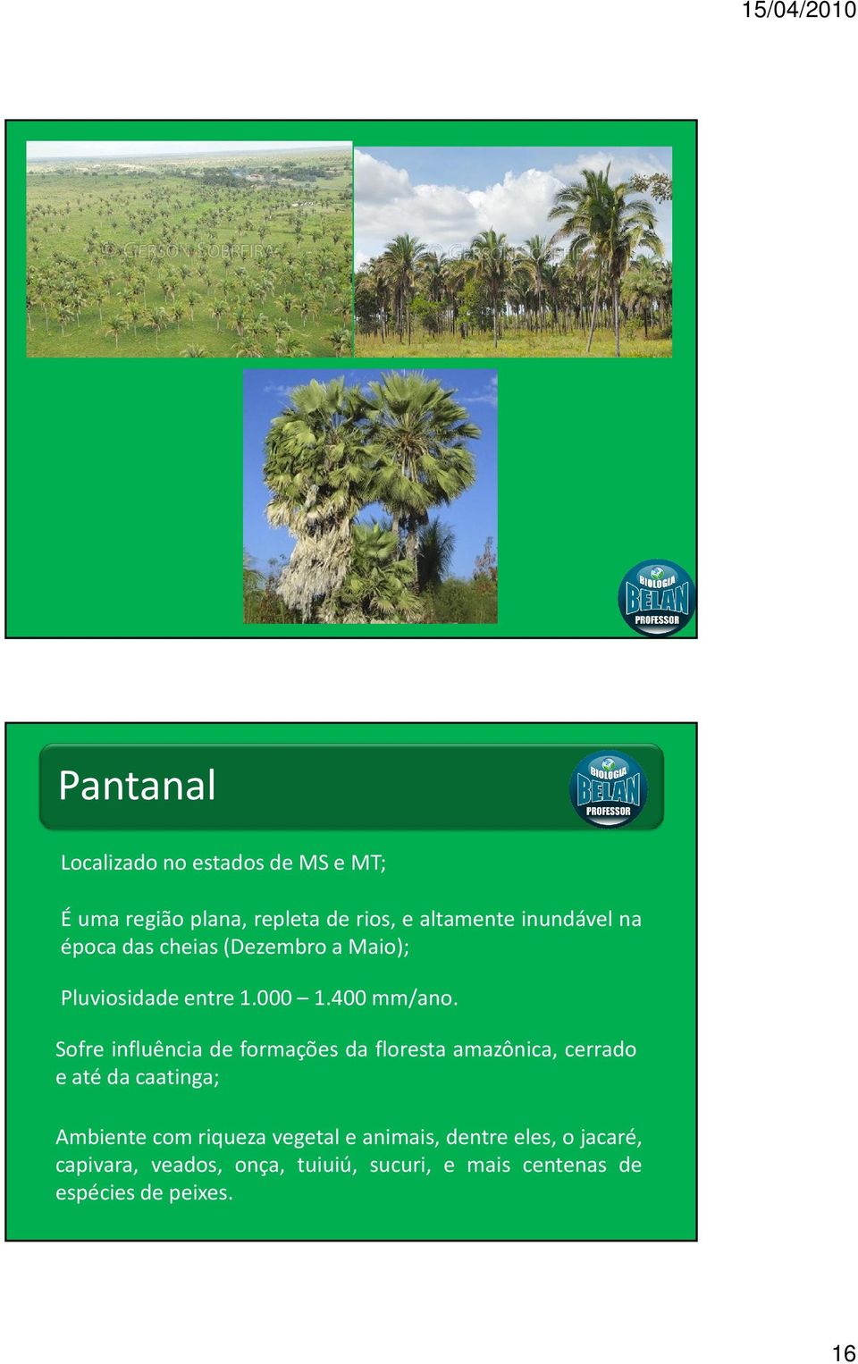 Sofre influência de formações da floresta amazônica, cerrado eatédacaatinga; Ambiente com riqueza