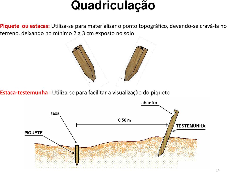 terreno, deixando no mínimo 2 a 3 cm exposto no solo