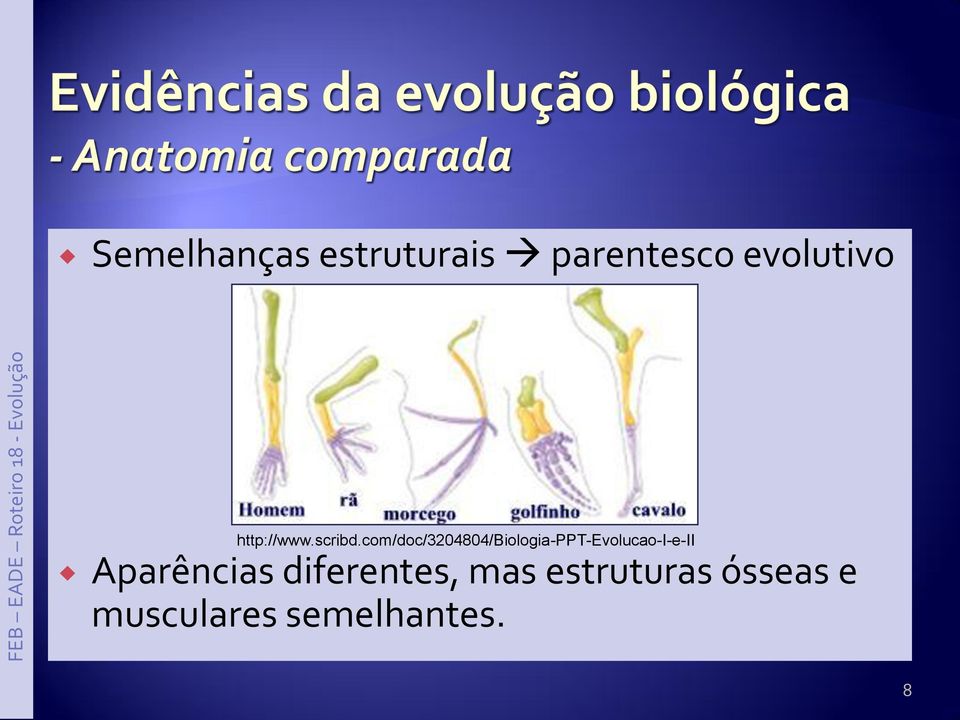 com/doc/3204804/biologia-ppt-evolucao-i-e-ii