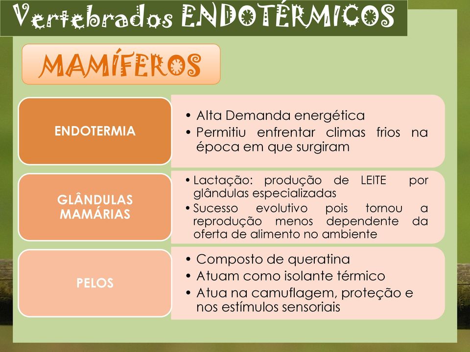 evolutivo pois tornou a reprodução menos dependente da oferta de alimento no ambiente Composto