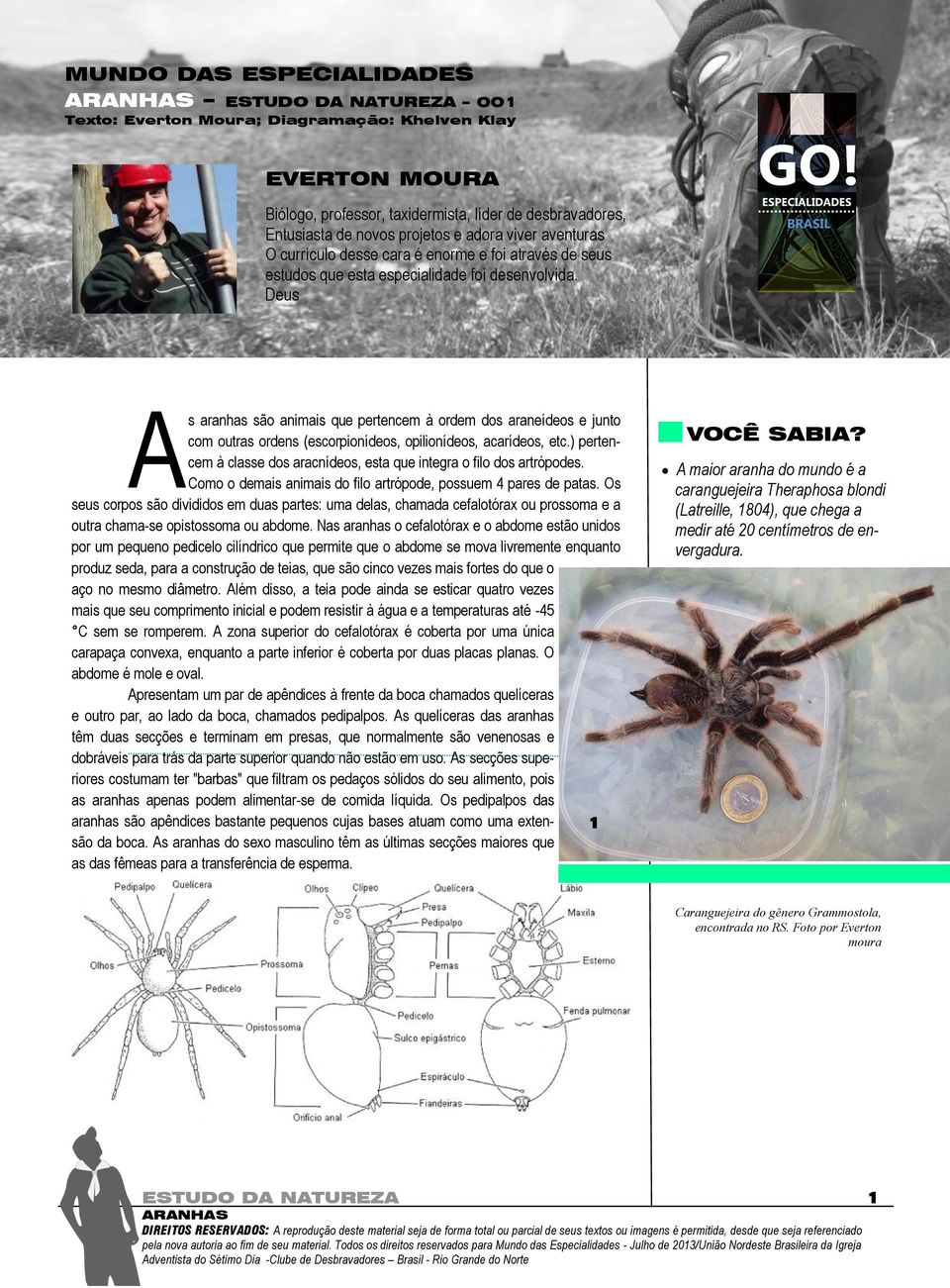 Deus A s aranhas são animais que pertencem à ordem dos araneídeos e junto com outras ordens (escorpionídeos, opilionídeos, acarídeos, etc.