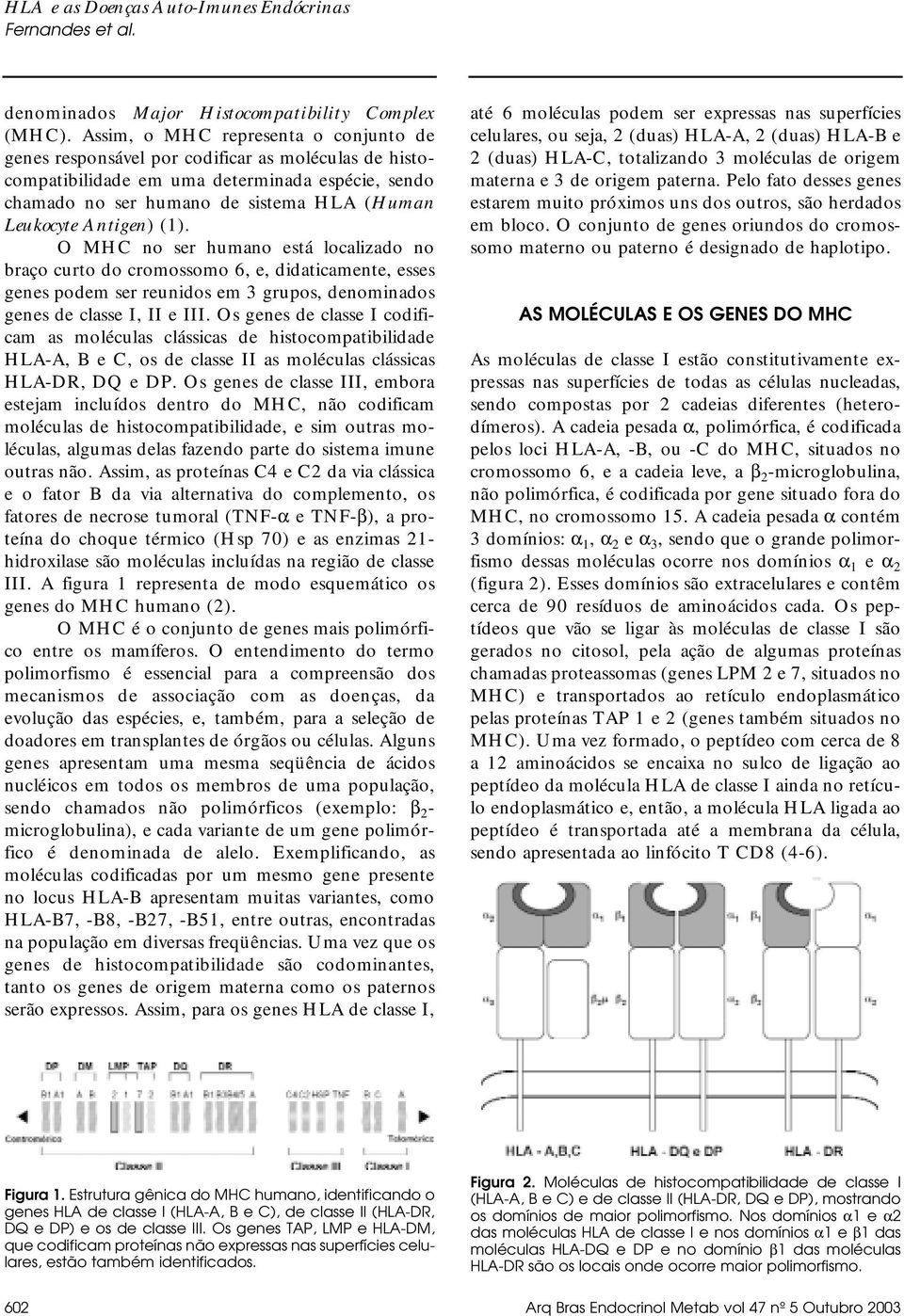 Antigen) (1). O MHC no ser humano está localizado no braço curto do cromossomo 6, e, didaticamente, esses genes podem ser reunidos em 3 grupos, denominados genes de classe I, II e III.