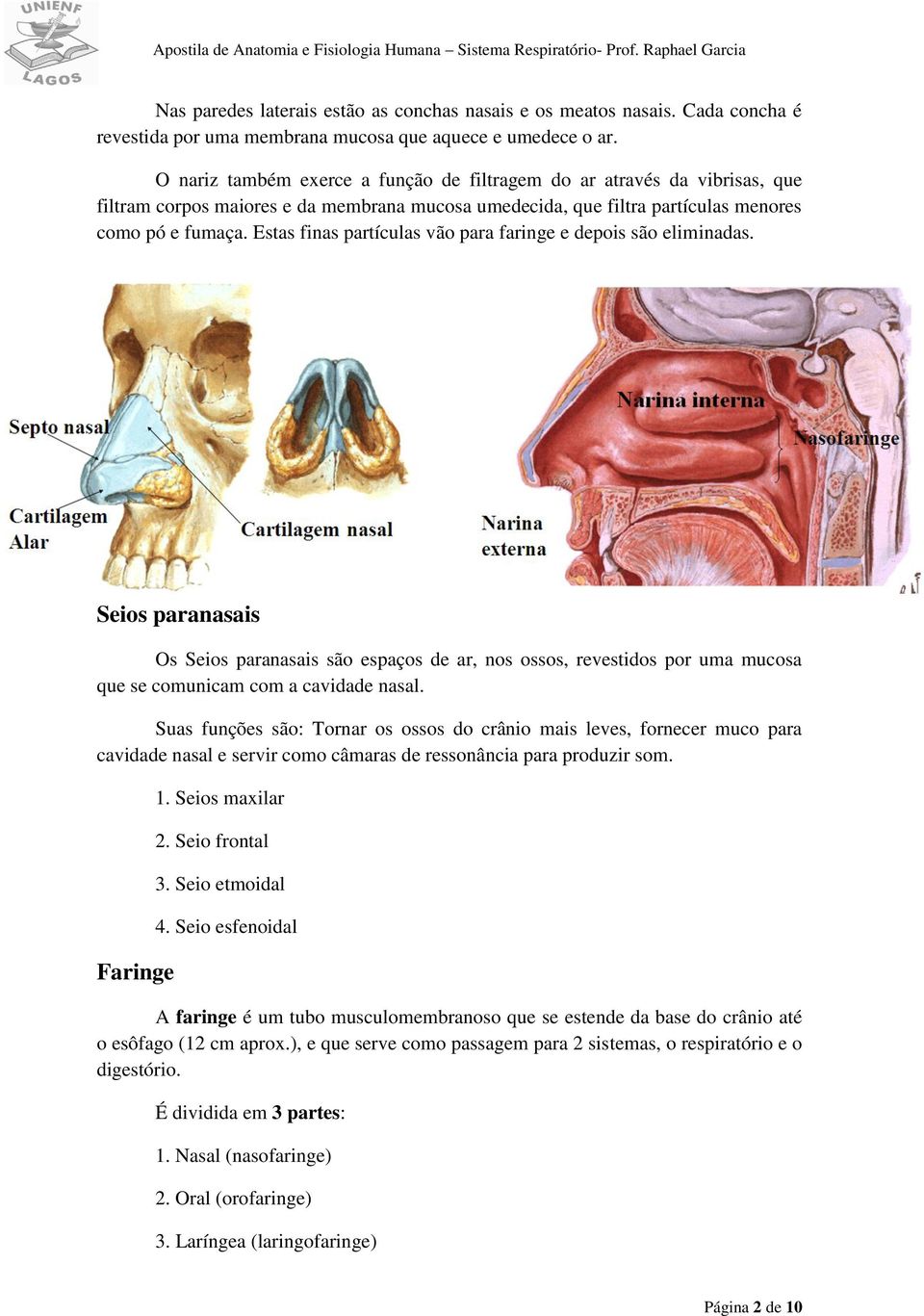 Estas finas partículas vão para faringe e depois são eliminadas. Seios paranasais Os Seios paranasais são espaços de ar, nos ossos, revestidos por uma mucosa que se comunicam com a cavidade nasal.