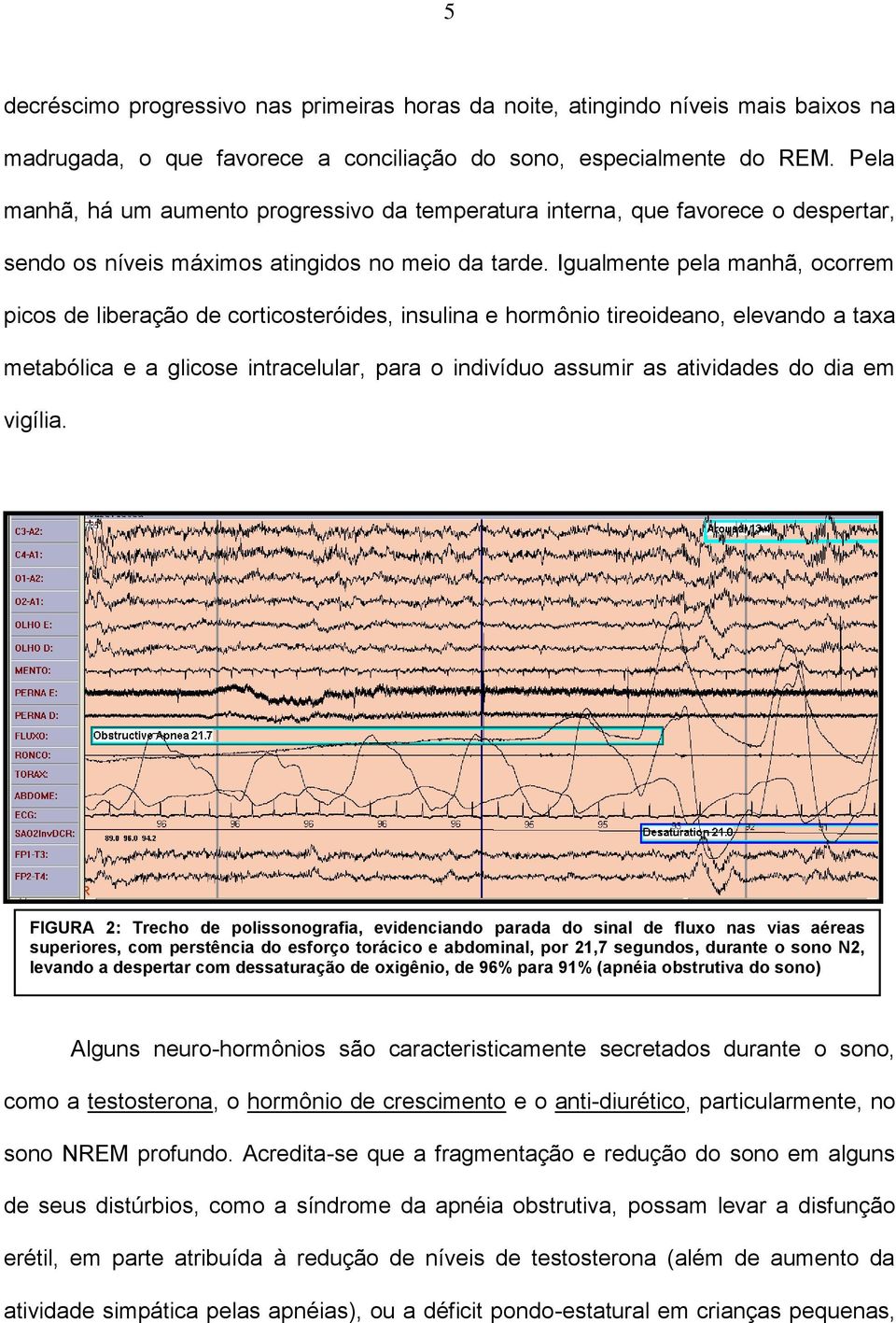 Igualmente pela manhã, ocorrem picos de liberação de corticosteróides, insulina e hormônio tireoideano, elevando a taxa metabólica e a glicose intracelular, para o indivíduo assumir as atividades do