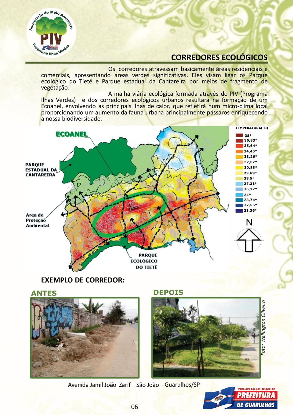 A malha viária ecológica formada através do PIV (Programa Ilhas Verdes) e dos corredores ecológicos urbanos resultará na formação de um Ecoanel, envolvendo as