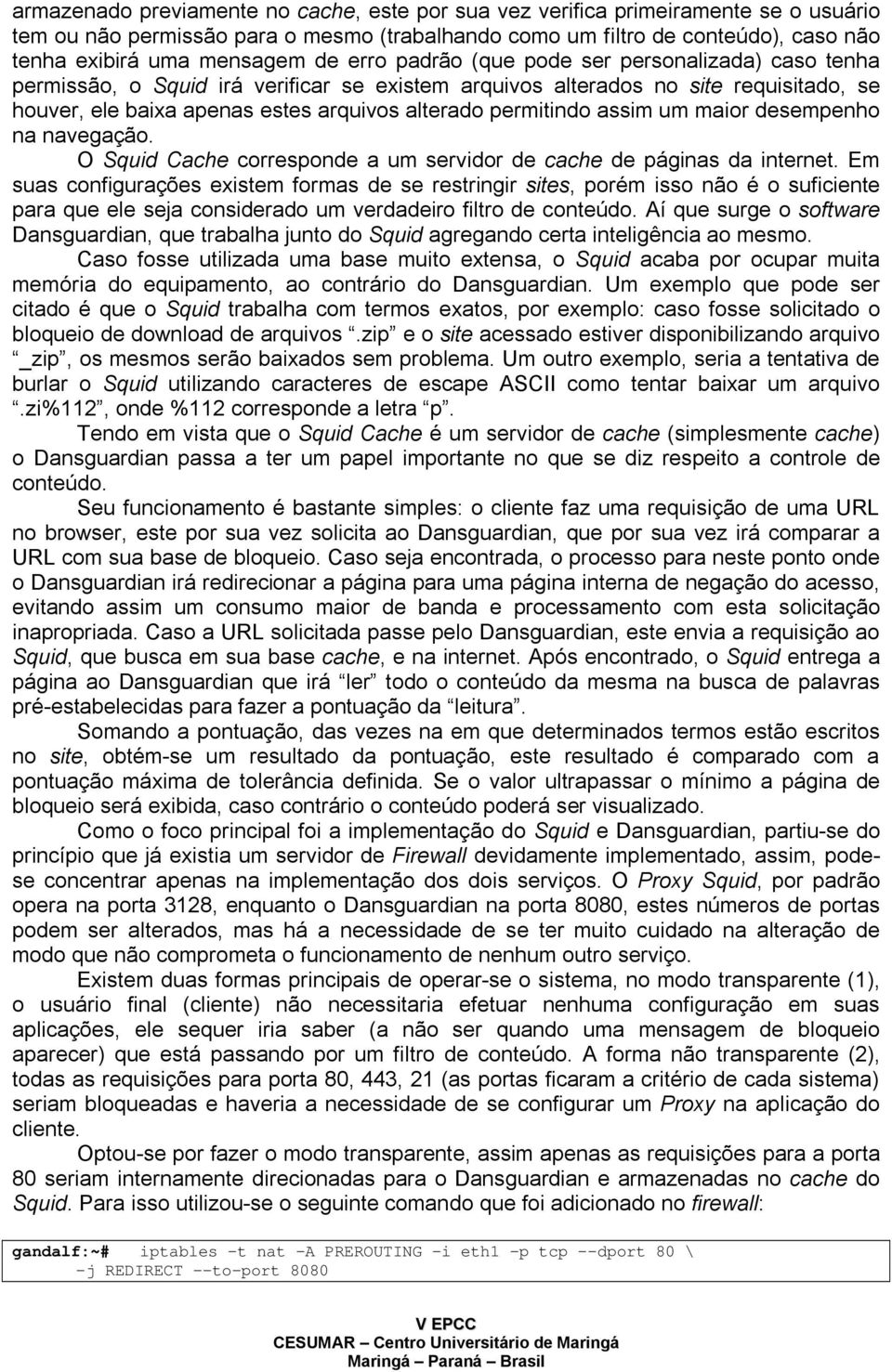 permitindo assim um maior desempenho na navegação. O Squid Cache corresponde a um servidor de cache de páginas da internet.