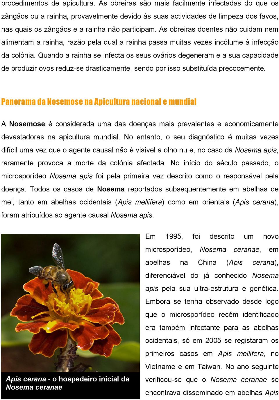 As obreiras doentes não cuidam nem alimentam a rainha, razão pela qual a rainha passa muitas vezes incólume à infecção da colónia.