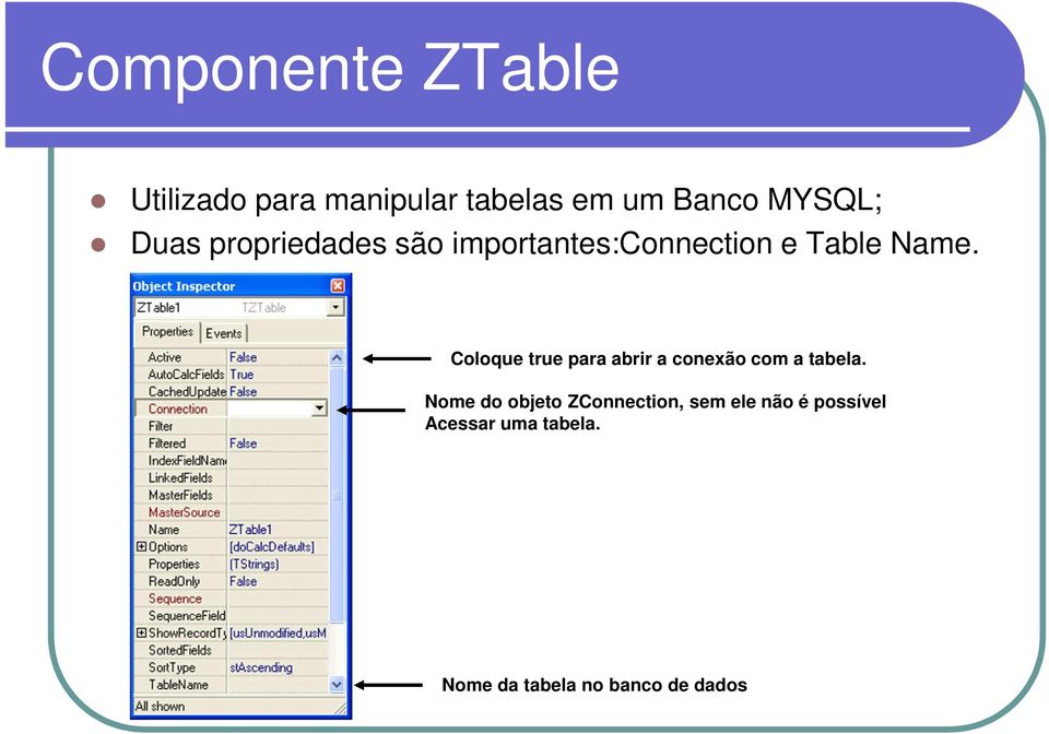 Coloque true para abrir a conexão com a tabela.