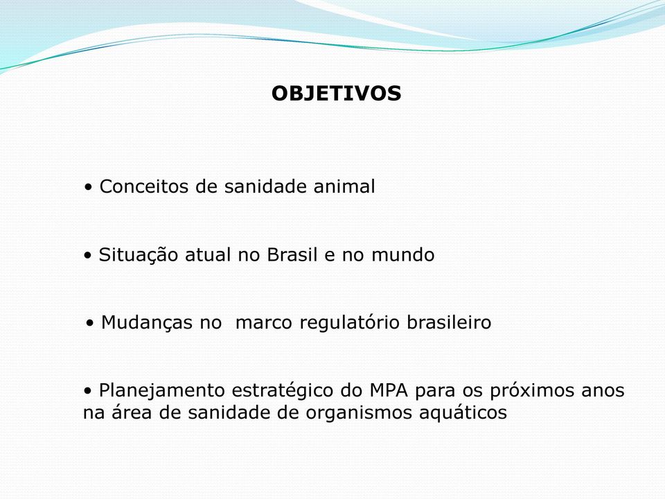 brasileiro Planejamento estratégico do MPA para os