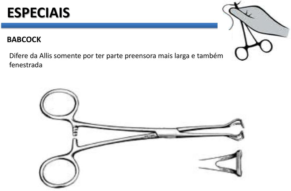 por ter parte preensora