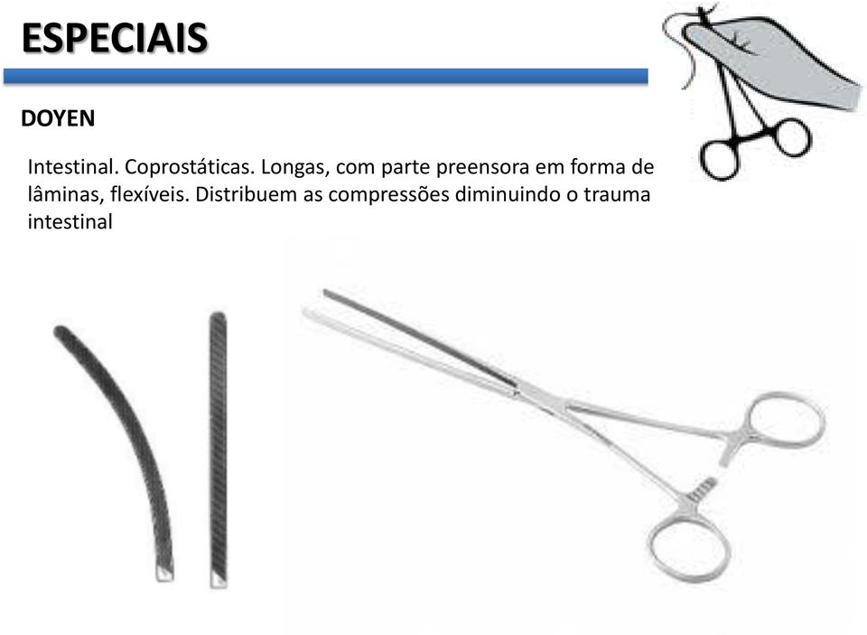 Longas, com parte preensora em forma de