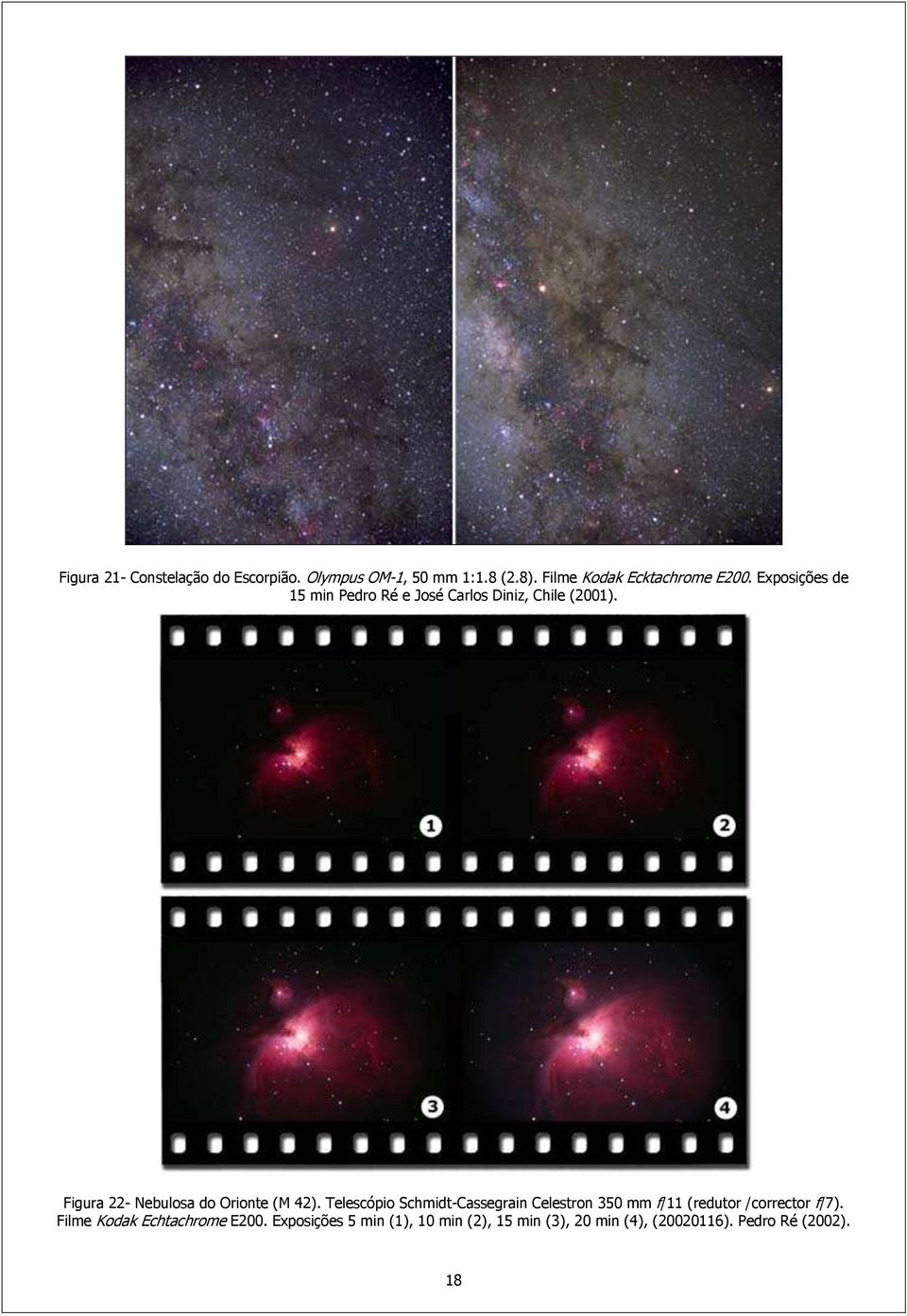 Figura 22- Nebulosa do Orionte (M 42).