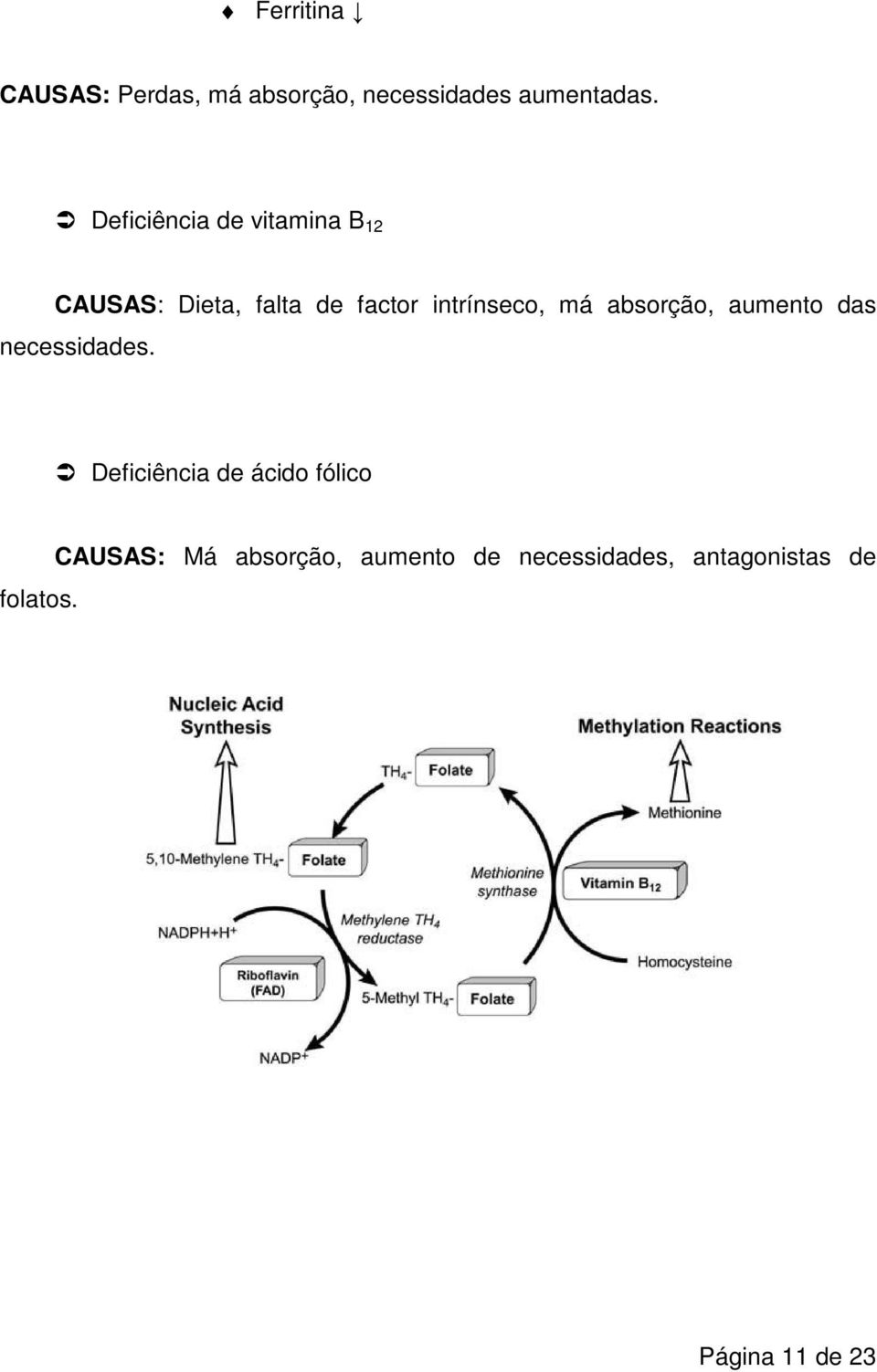 má absorção, aumento das necessidades.