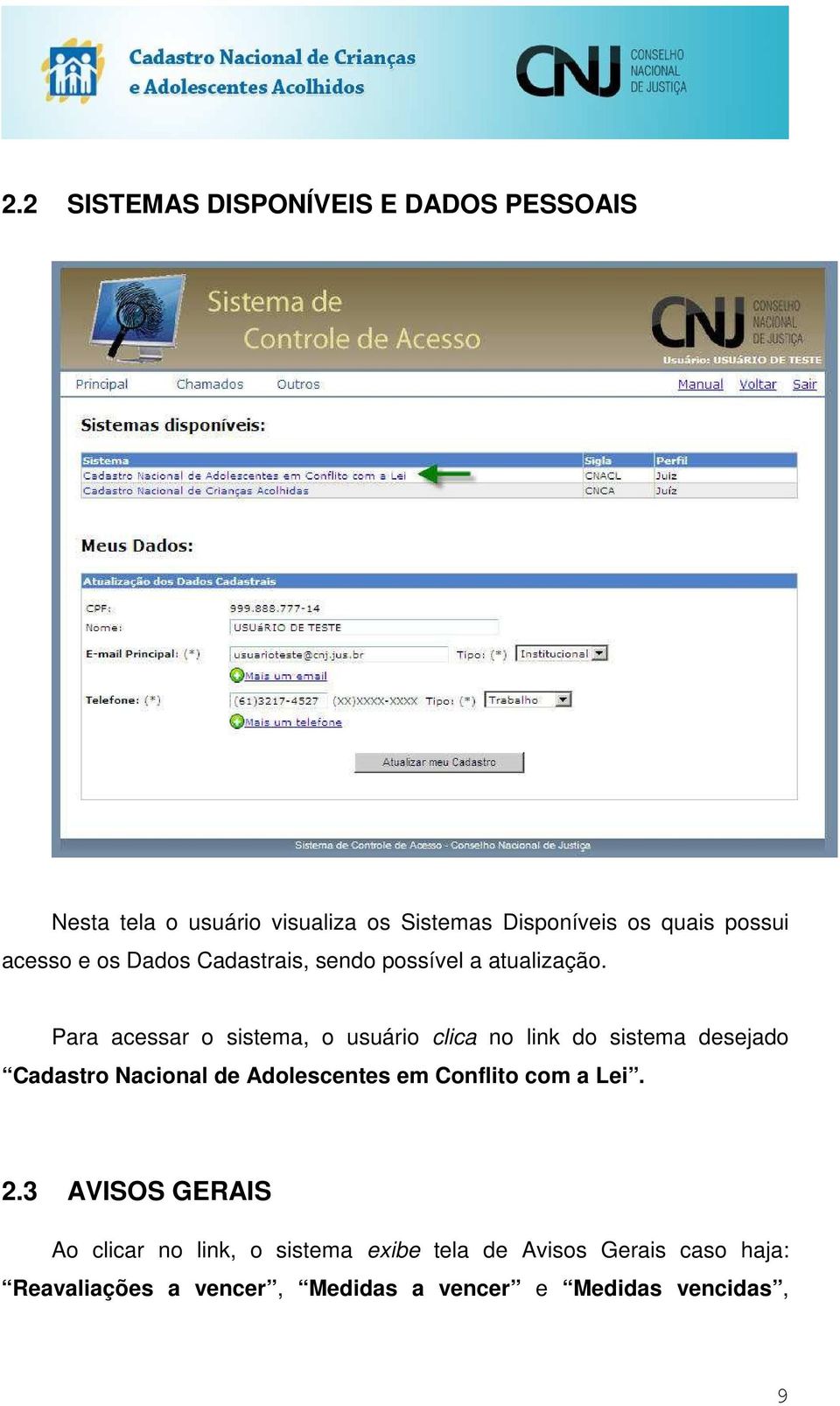 Para acessar o sistema, o usuário clica no link do sistema desejado Cadastro Nacional de Adolescentes em