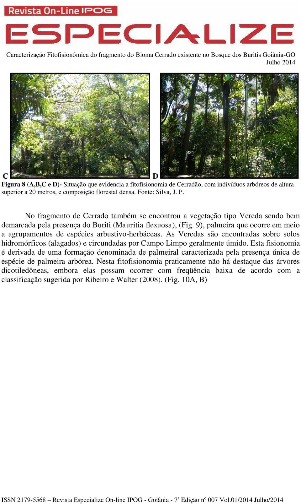 9), palmeira que ocorre em meio a agrupamentos de espécies arbustivo-herbáceas. As Veredas são encontradas sobre solos hidromórficos (alagados) e circundadas por Campo Limpo geralmente úmido.